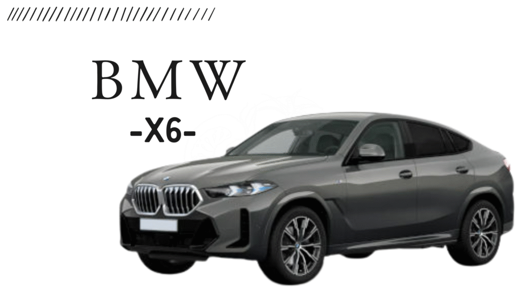 BMW X6:クーペSUVのフラッグシップ